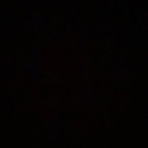 Meet your Posher, Maya